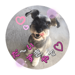 emi_20250301134237