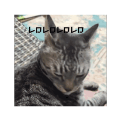 omochi_20250302074339
