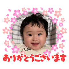 Haru_20250301141511