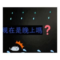 貓貓Cheng Ho Ho