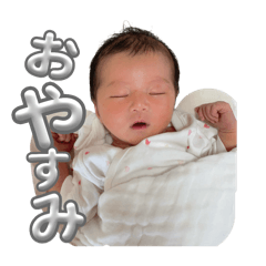 pipi_20250301160819