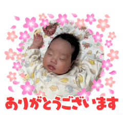Chihiro_20250301161524