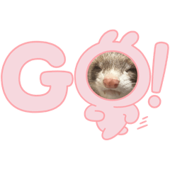 kinako_20250301161601