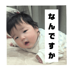 moe_20250301161551