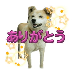 KAMUNA_20250301144751