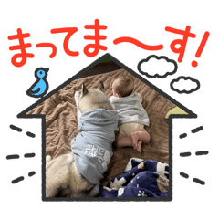 moko_20250301171110