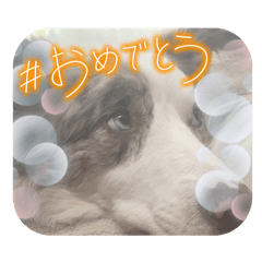 John_20250301171940