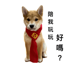 TATA 塔塔（全）