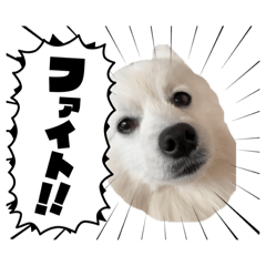 itudemorincha-n