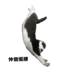 小糕