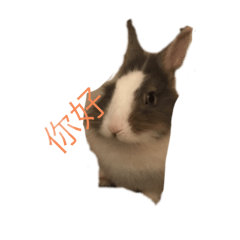 吃貨的常用貼圖