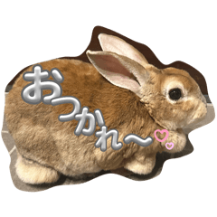 うさしな