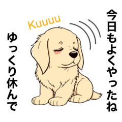 Haruru_20250301144543