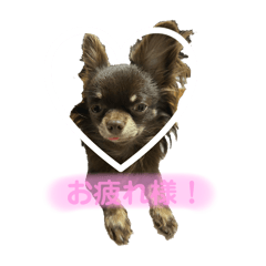 Kihana_20250301153652