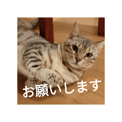 Yui_20250301192030