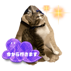 u_20250301194547