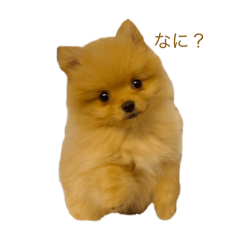 yuka_20250301230840