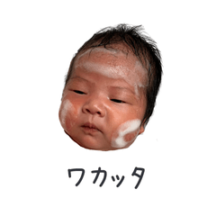Basic Yuma (newborn baby)