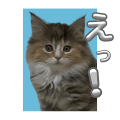 taka_20250302010007