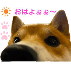 suzu_20250302002140