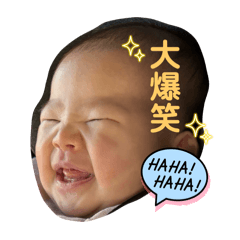 KOTO_20250302003033