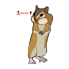 cute squirrels are here