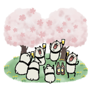 Mame panda:Spring 2025