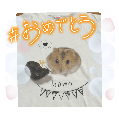 H_20250301215605