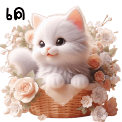 white cat cute cute!