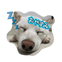 ami_20250302101001