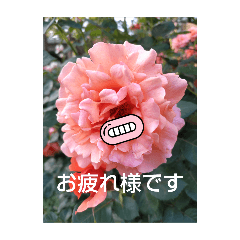 kiyo_20250301203920
