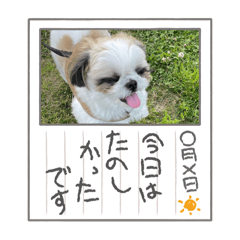 yuki_20250302110038