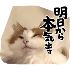 maron_20250302111728