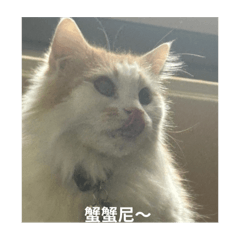 可樂貼圖～～