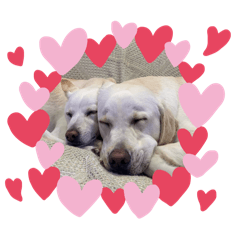 Yuki&Ron