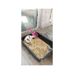 KJ_20250302154936