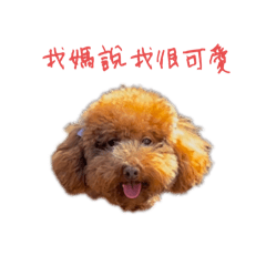 我是炭吉寶寶