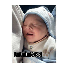 小軒的日常用語
