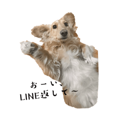 Natsu_20250302134612