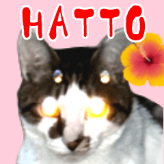 My cute hatto.