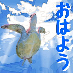 I love sea turtles in Okinawa NO.2.