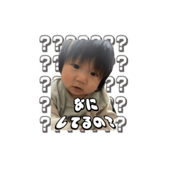 Mako_20250302141908