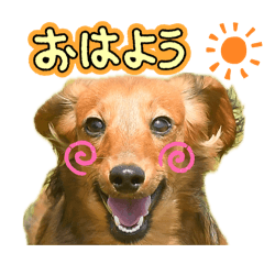 seven_dogstamp