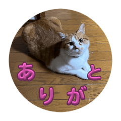 rina_20250302172847