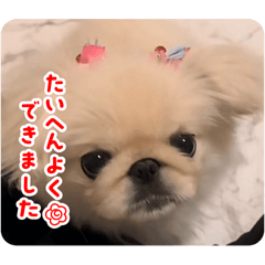 Airi_20250302144801