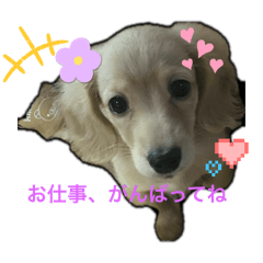 ERIKO_20250302190122