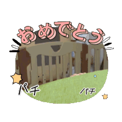 yuma_20250302194051