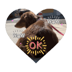 Natsu_20250302190339