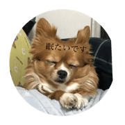 nishiyamake.