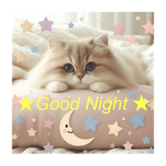 Cats' night greetings